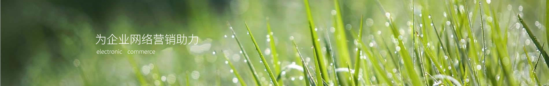 ŷʽ޹˾